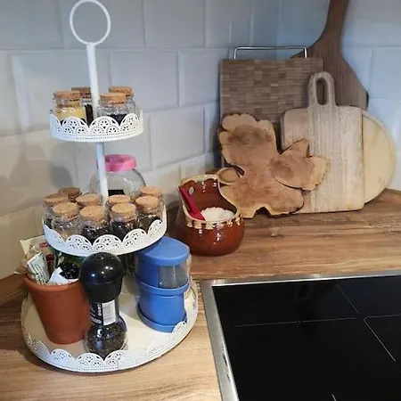 Сasa de vacaciones Charming House Ruza In *