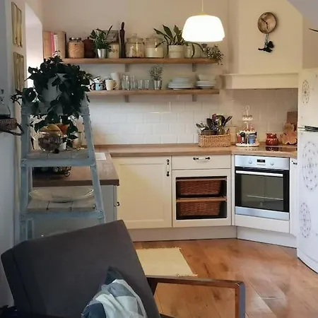 Charming House Ruza In